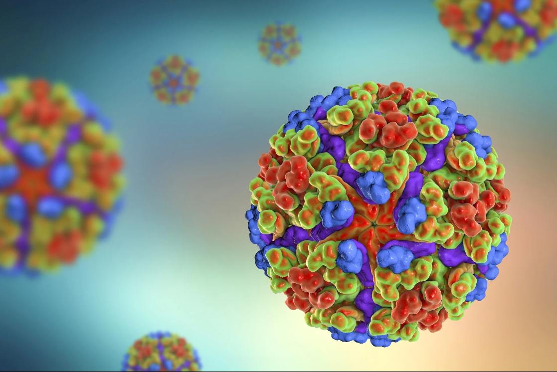 Résurgence du chikungunya : risques de transmission, perspectives mondiales et stratégies de protection
