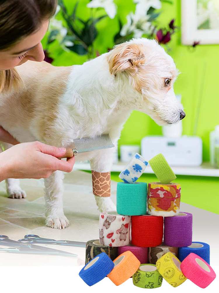 Sécurité des voyages en été : pourquoi une trousse de premiers soins pour animaux de compagnie est essentielle pour les voyages en voiture en 2026
